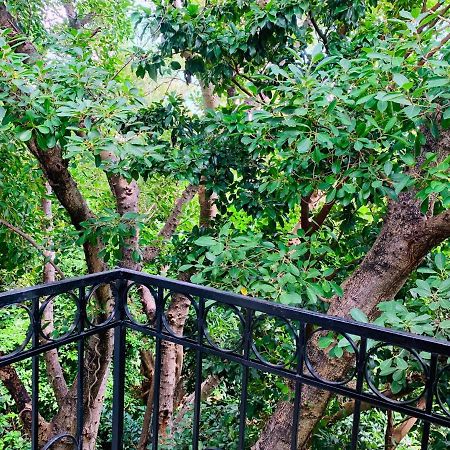Villa Antilope Канкун Екстер'єр фото